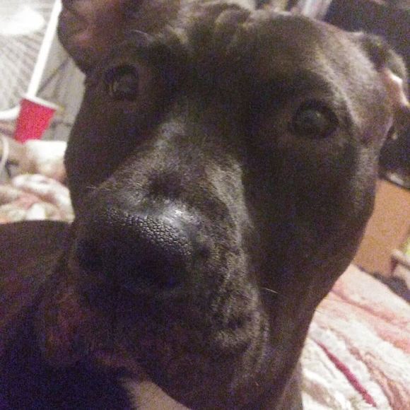 Meet your Posher, Omar - Picture 1 of 1